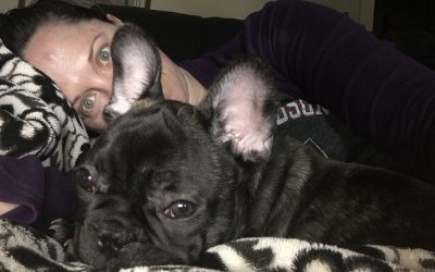 What If I Came Back As My Own Dog?
