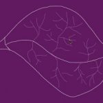 Leaf in a Leaf image12-300x225