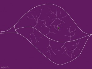 Leaf in a Leaf