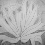 Aloe