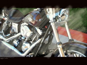 First Ride