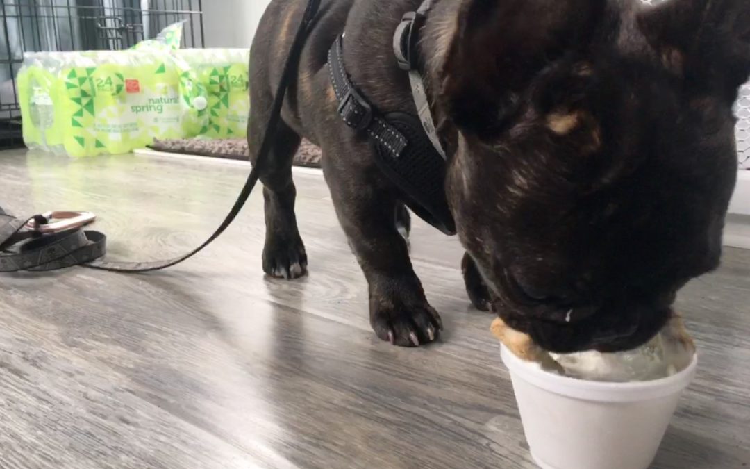 Max’s First Ice Cream