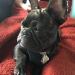 Maxwell Update - He's Getting SO Big! 65835CE2-369D-4B14-B968-D691E77310B8
