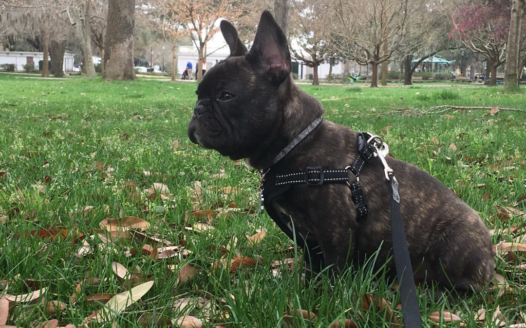 The Stoic Traveller