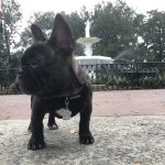 Max In Savannah, GA Max in Savannah