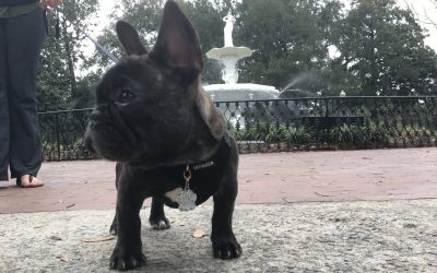 Max In Savannah, GA