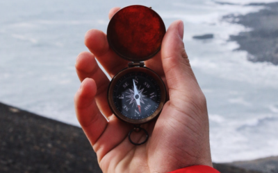 The Next Two Years – The Road Back To Purpose And Consciousness
