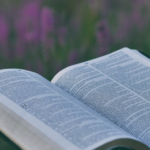 Written Stories That Change Your Reality Text or Book