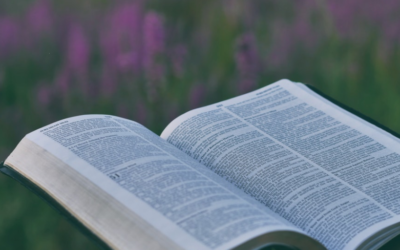 Written Stories That Change Your Reality