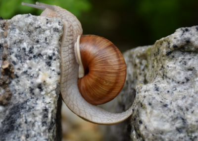 Motivation – Can You Will Yourself To Will? Yes!
