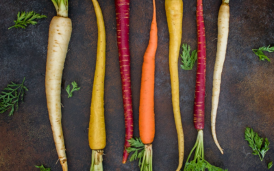 Nutritional Analysis – My Modified Plant Paradox Eating Plan And Completely OCD Level Analysis