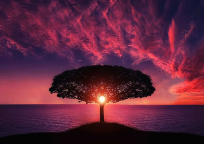 What If Our Humanity Is Actually Our Divinity?