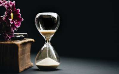 Working With The NOW – Instead of Planning The Year, Asking What Is There Already That I Just Have Not Noticed