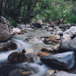 Too Many Rocks In The River rocky river