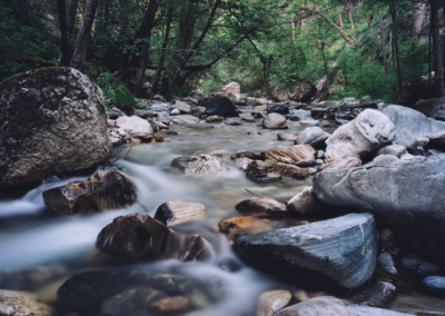 Too Many Rocks In The River