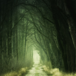 Complete Connection Means Connecting Deeply To The Bad Stuff Too Scary Forest