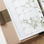 Stage 4 - Connecting To Yourself And Others - Attending To Needs As Part Of A Regular Routine Schedule Book