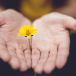 Stage 6 - Connecting To Others - Forgiving And Accepting Others As Human Hands with daisy