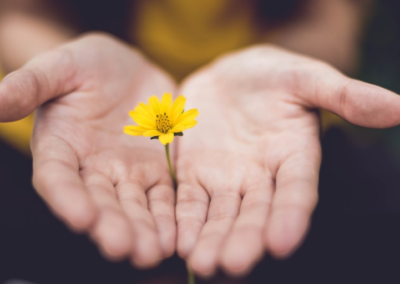 [Guided Meditation] Connecting To Yourself – Healing Your Scars