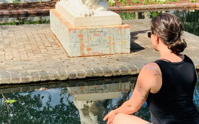 My Life: Reiki For Gators