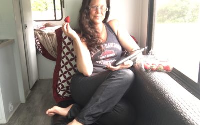 My Life: Lounging In The Studio Tour Bus Thinking Deep Thoughts