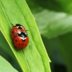 Connecting To Your Partner Through Sexuality - Exploring Levels Of Orgasm 05216CA0-B993-47BC-A205-4B9B7188B5FB