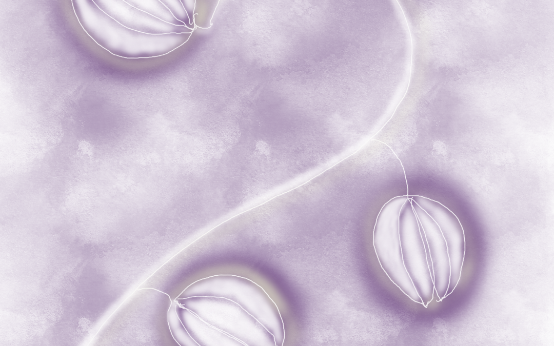 Orchid Vision