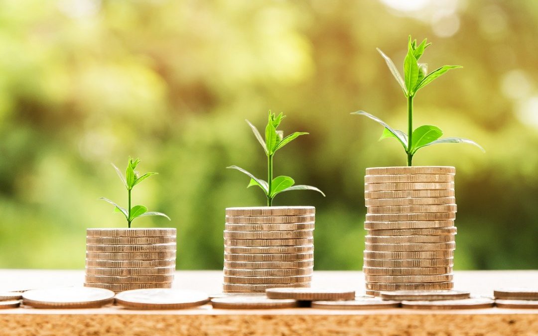 The Nature and Effect of Financial Contentment