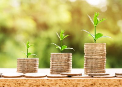 The Nature and Effect of Financial Contentment