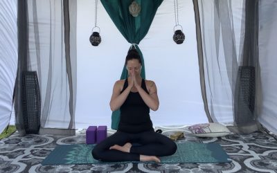 Overzealous Yoga Filming In The New Mobile Studio