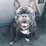Maxwell - The Road Dog D64D832D-687B-4BC8-83F9-3AF04BBA64B9