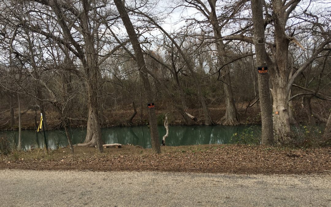 Stories – The River, The Van, And The Tortoise