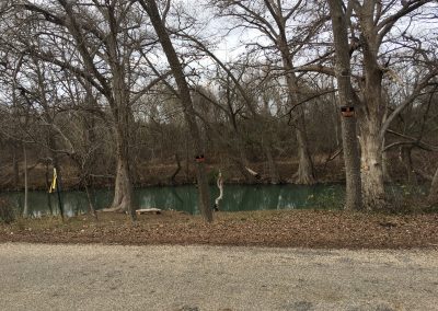 Stories – The River, The Van, And The Tortoise