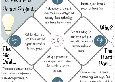 NFT Idea: An Organization For High Risk Peace Projects