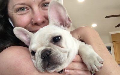 Puppies, Polarities, Melding Consciousness And The Need For Connection