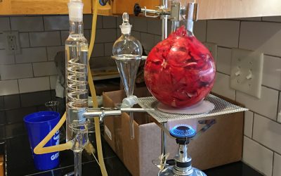 Fun With Chemistry And Emotions