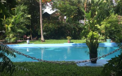 Slowing Down To Focus, Channeling Hemingway, And Learning To Notice What Is Right