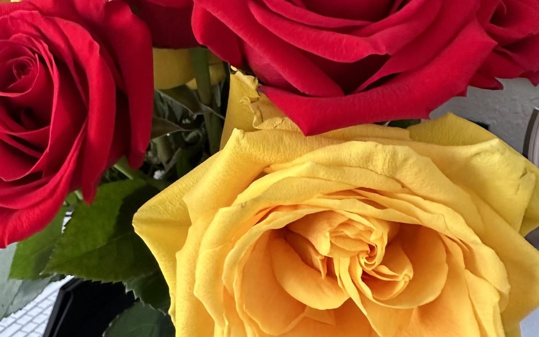 Manifestation – Do Not Ask To Be Given Ask To Be SHOWN