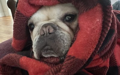 There Is Time For What Matters – Navigating Overwhelm
